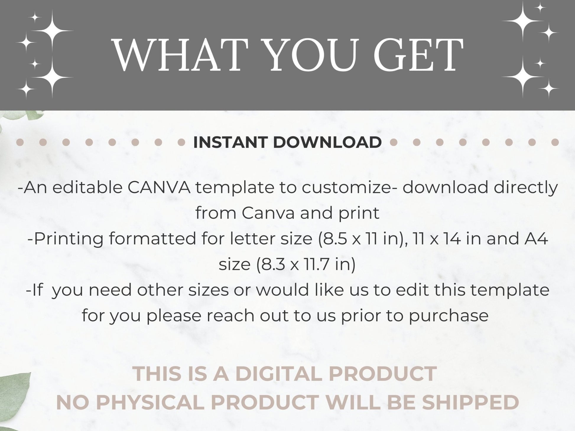 PTA Sponsorship Level Flyer Printable PTO Sponsorship level editable template pta sponsorship template School sponsor flyer pta donation